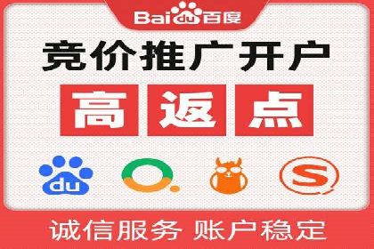 百度竞价赚钱攻略：实战案例分享